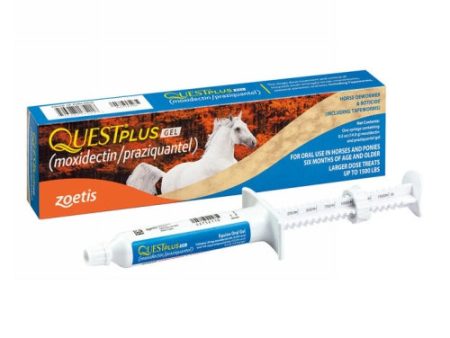 Quest Plus Gel Horse Dewormer & Boticide 1 Dose by Zoetis Online