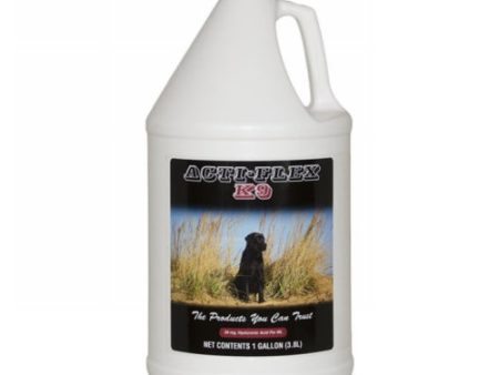 Acti-Flex K9 Liquid Joint Supplement for Dogs 1 Gallon by Cox Veterinary Laboratory Inc. Online