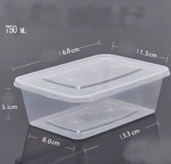 Rectangular Plastic Food Box 10 PCs Online Hot Sale